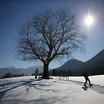 Lejlighed Graublau