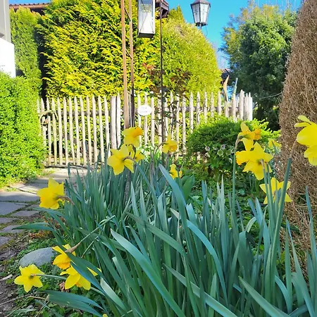 Graublau Grassau (Bavaria)